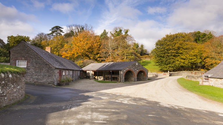 Castle Ward Farmyard in autumn
